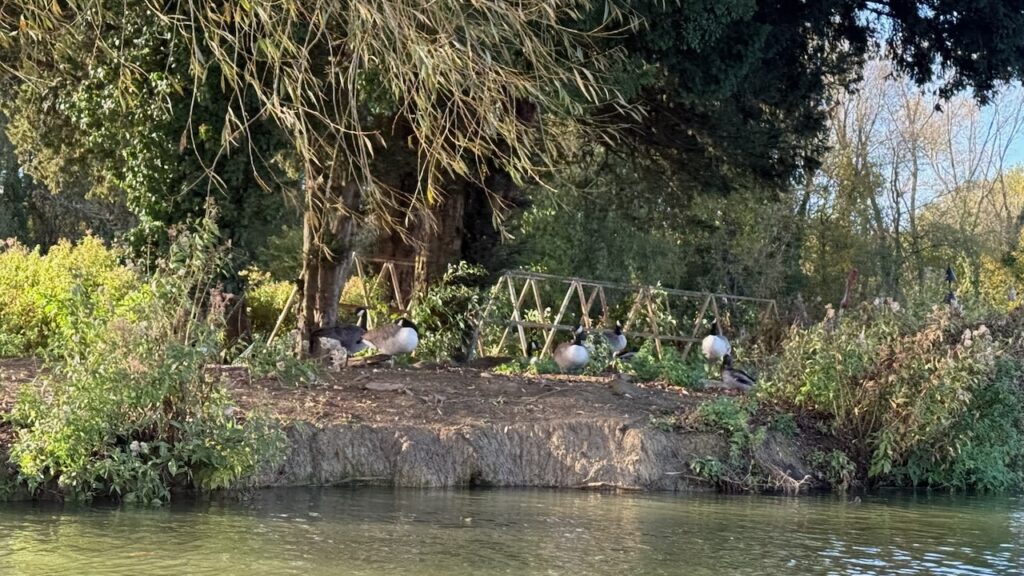 PB2 Course October 2024 - Photo 18