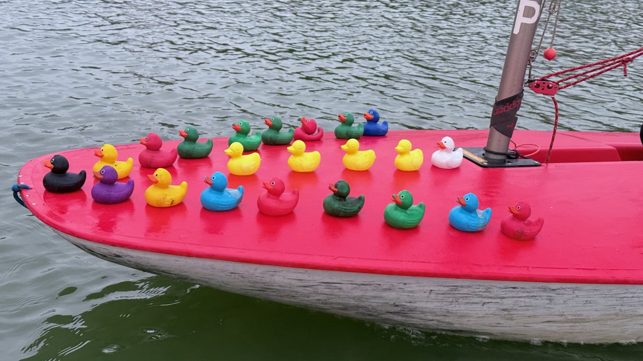 Sunday Sailing - Photo 16