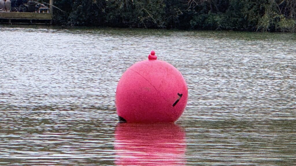 Sunday Sailing October 2024 - Photo 25