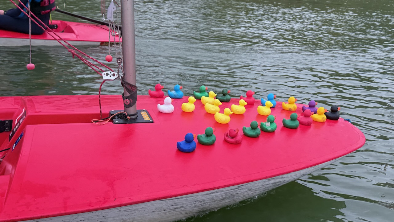 Sunday Sailing - Photo 8