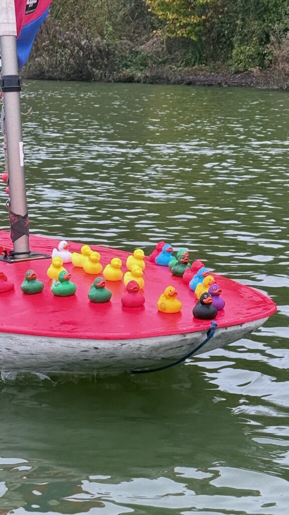 Sunday Sailing October 2024 - Photo 9